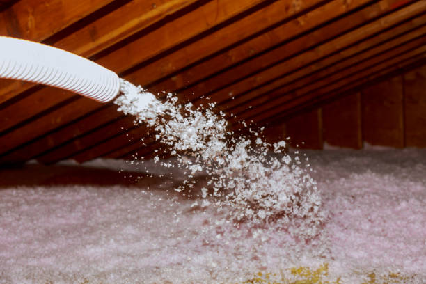 Best Insulation for Specific Applications in Diamond Ridge, AK