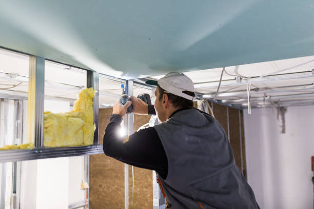 Best Commercial Insulation in Diamond Ridge, AK