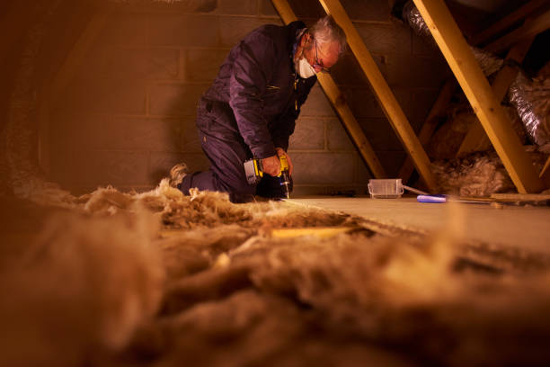 Best Insulation for Specific Applications in Diamond Ridge, AK